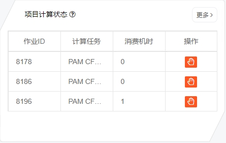 项目计算状态